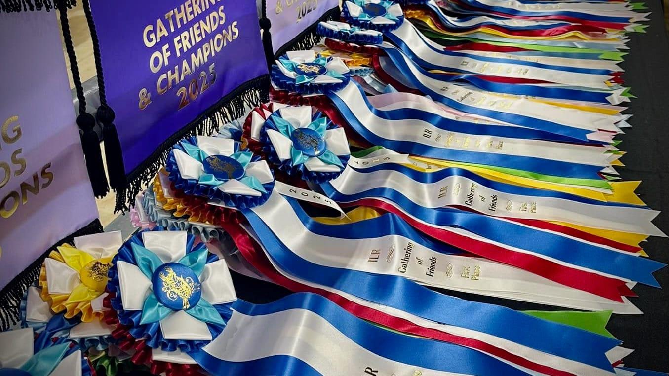 ILR Show Division Information